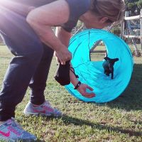Agility8_risultato